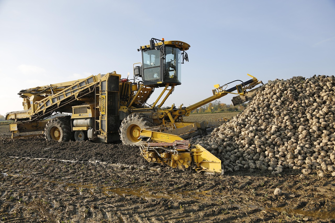 Crushed Concrete Base for Residential Driveways in San Antonio