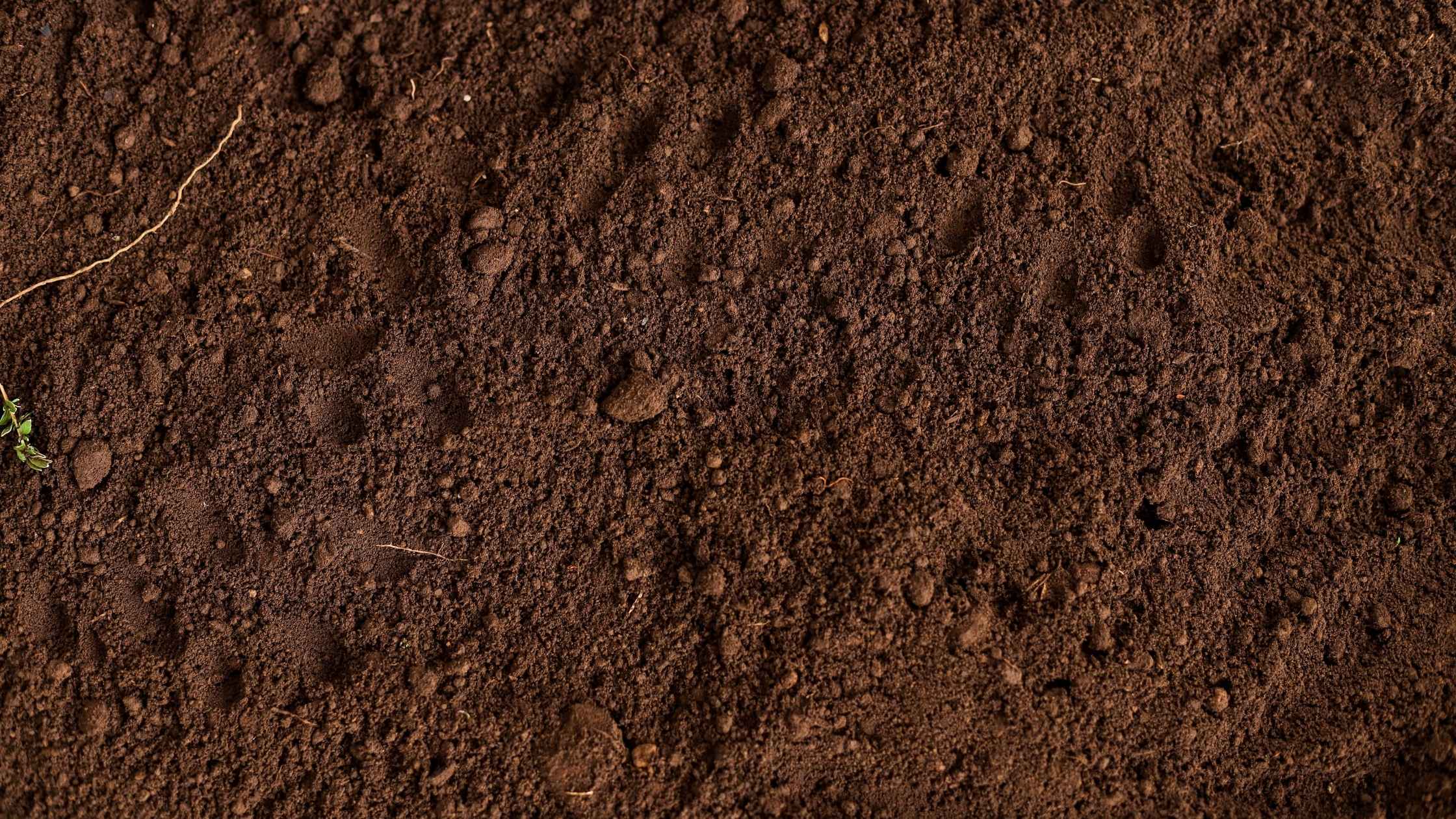 buy bulk dirt near philadelphia pa