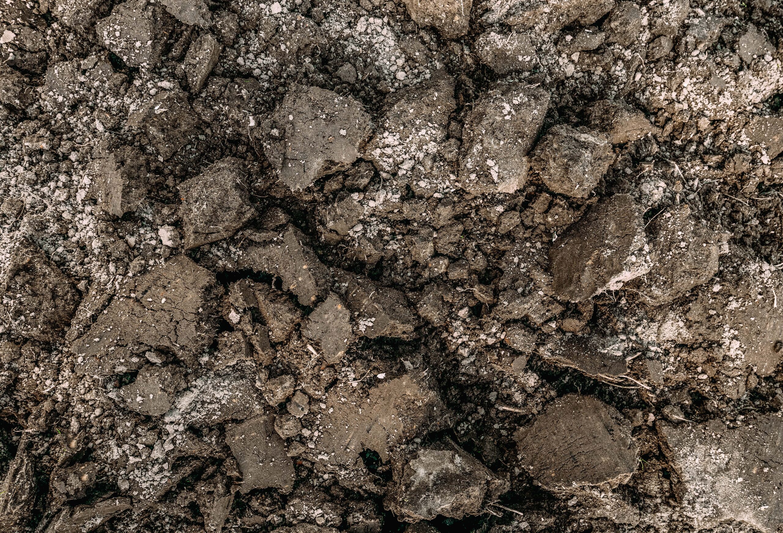 buy dirt in bulk near me