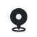 pin icon