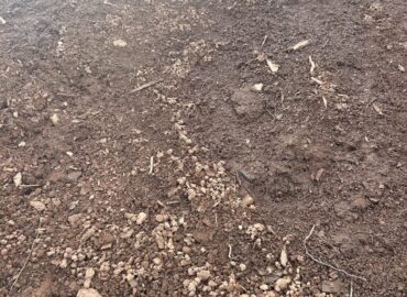 Cheap Topsoil in Pennsylvania – Telford (Unscreened)