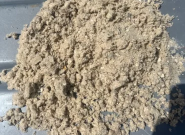 Paver Sand Florida | Punta Gorda, FL | Washed Shell Screenings | Charlotte County