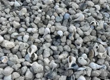 Rip Rap Florida | Punta Gorda, FL | 3-6 Inch | Charlotte County