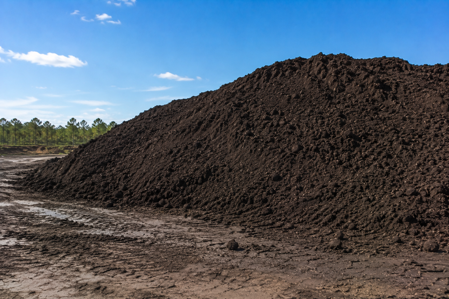 topsoil Florida Lecanto sand mine Citrus County near Tampa
